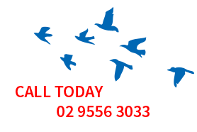call us at Freedom Travel